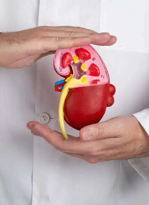 Servicios médicos en Nefrología en CDMX